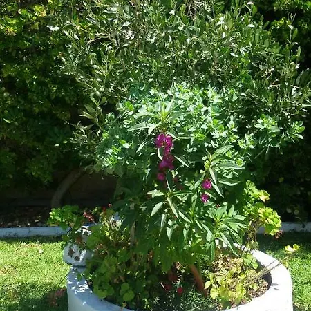 Case de vacanță Antonia Beach House Acharavi (Corfu)